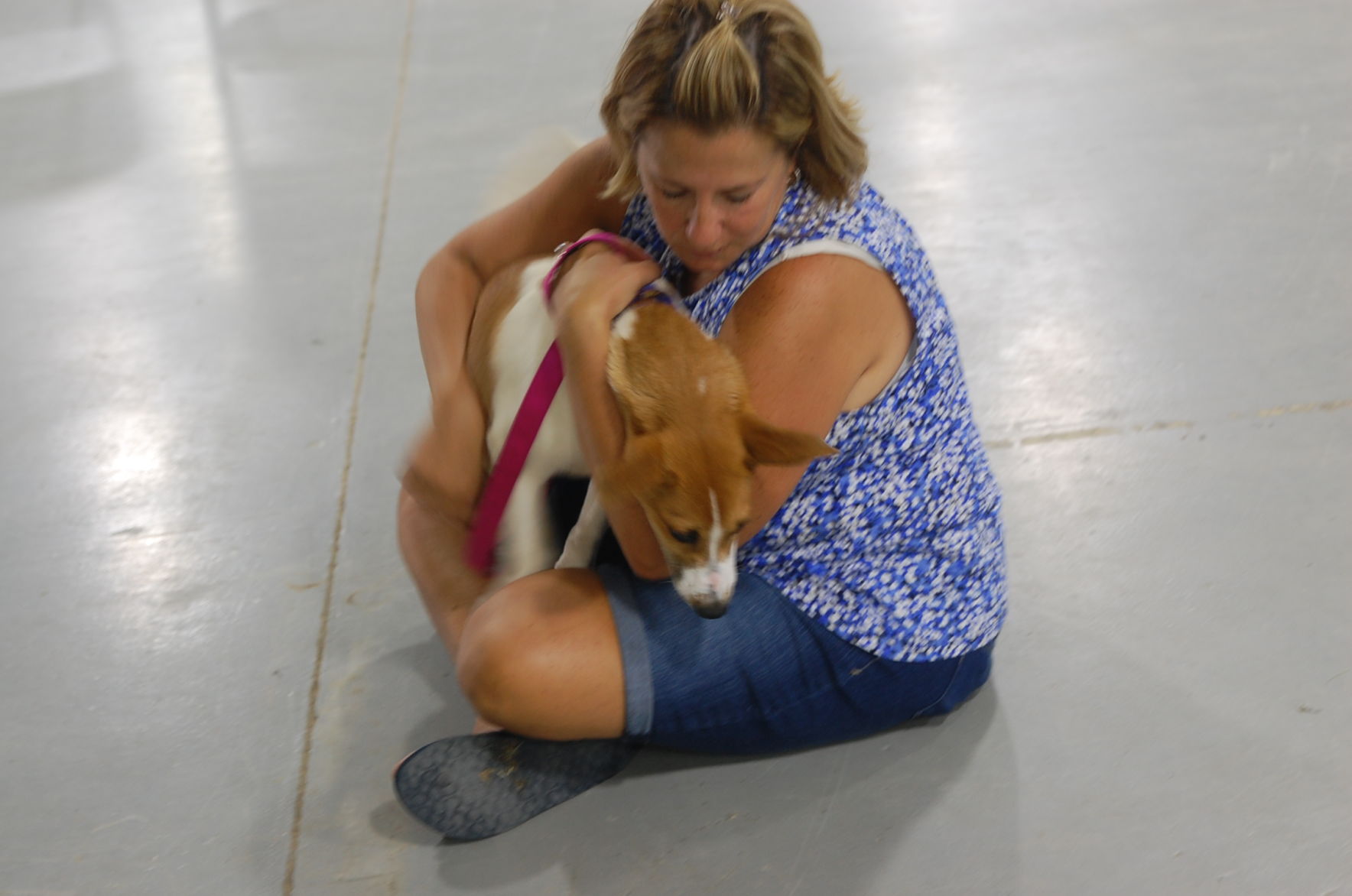 Piedmont animal rescue (27).JPG